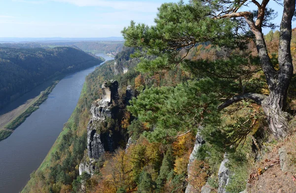 Bastei Basteifelsen Elbe Elbtal Rivière Fels Rochers Escalade Rochers Nature — Photo