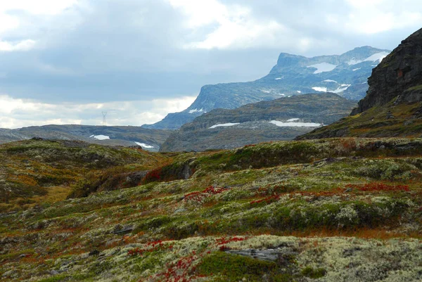 Norvège Sur Fond Paysage Naturel — Photo