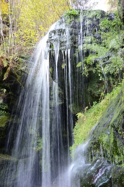 Amselfall Cachoeira Riacho Amseltal Wasser Bergbach Natureza Paisagem Spa Cidade — Fotografia de Stock