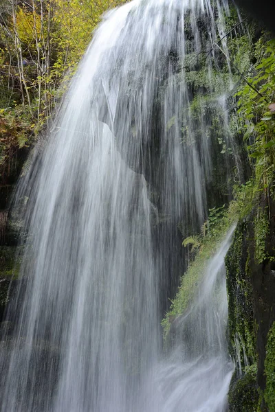 Amselfall Waterfall Stream Amseltal Wasser Bergbach Nature Landscape Spa Town — Stok fotoğraf