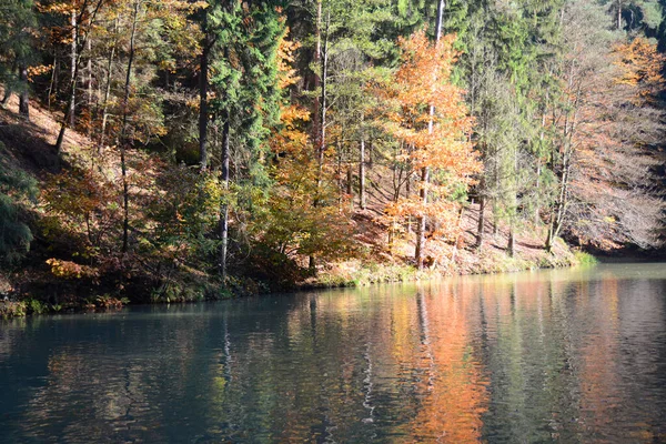 Amselsee Automne Rathen Ville Thermale Rathen Lac Réservoir Étang Étang — Photo