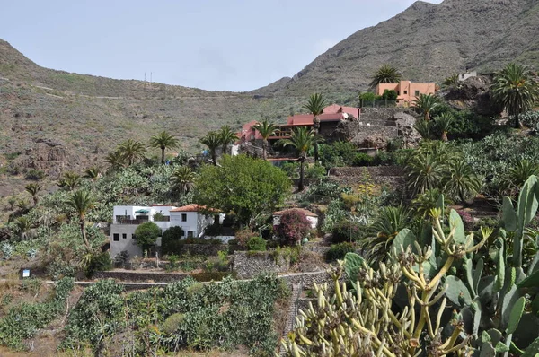 Masca Bergsby Masca Ravin Teno Berg Teneriffa Berg Teno Berg — Stockfoto