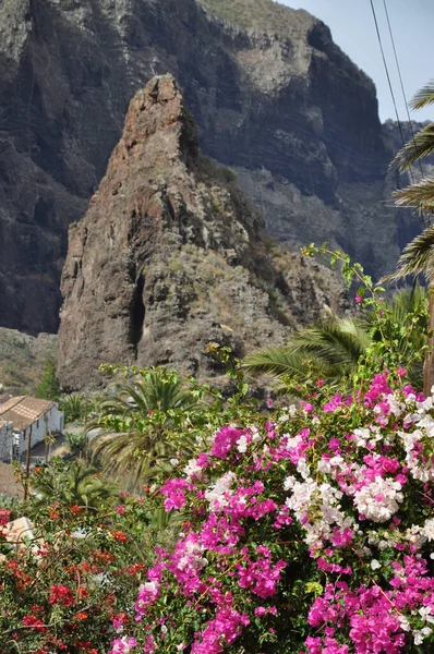 Masca Mountain Village Masca Gorge Teno Mountains Tenerife Mountains Teno — Stock Photo, Image