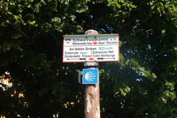 Malerischer Blick Auf Schöne Waldlandschaft — Stockfoto