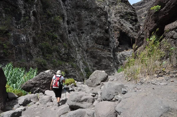 ハイキング マスカ峡谷 天王山 テネリフェ島 高い山 ピーク カナリア諸島 カナリア諸島 スペイン 10の山 — ストック写真