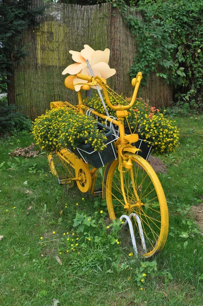 Verschiedene Blüten Selektiver Fokus — Stockfoto