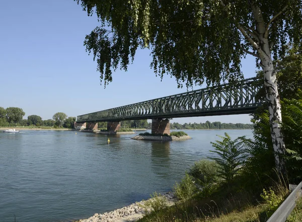 Mainz Una Ciudad Alemana Río Rin — Foto de Stock