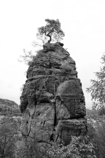 Dahner Stenar Tyskland — Stockfoto