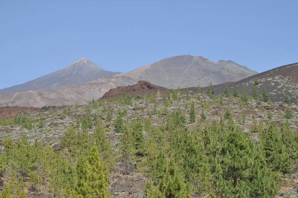 Pico Del Teide Tenerife Teide Pico Viejo Mountain Volcano Vulcanism — 图库照片