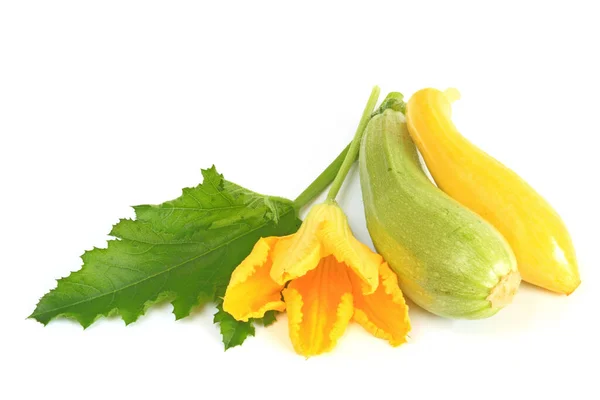 Κίτρινο Και Πράσινο Κολοκυθάκι Ένα Φύλλο Και Ένα Λουλούδι Frreigestellt — Φωτογραφία Αρχείου