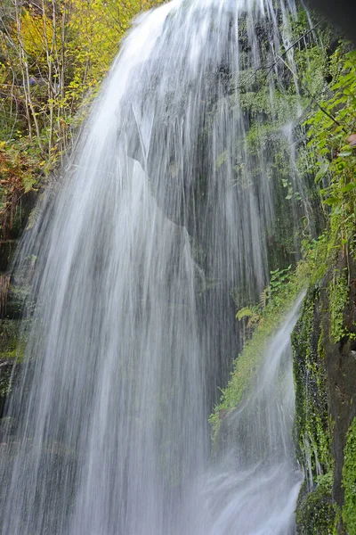 Amselfall Wasserfall Bach Amseltal Wasser Bergbach Natur Landschaft Kurort Rathen — Stockfoto