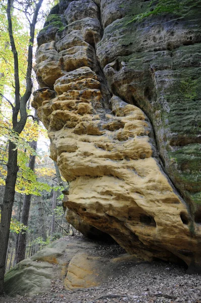 Landschaftliche Sicht Auf Die Natur — Stockfoto