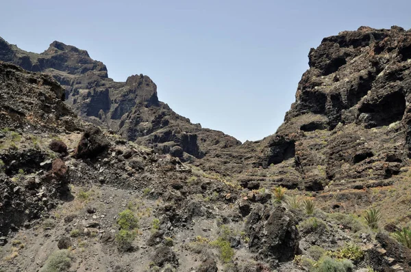 Masca Gorge Teno Bergen Teneriffa Berg Teno Berg Höga Berg — Stockfoto