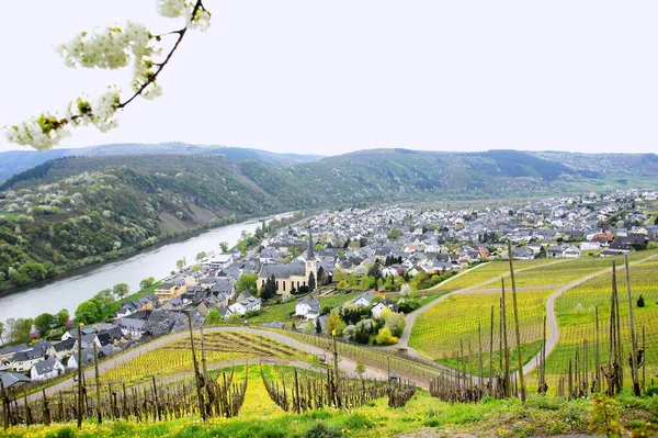 Schilderachtig Uitzicht Sfeervol Dorpslandschap — Stockfoto