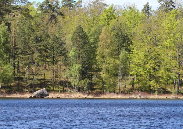 Lago Immeln Nel Sud Della Svezia — Foto Stock