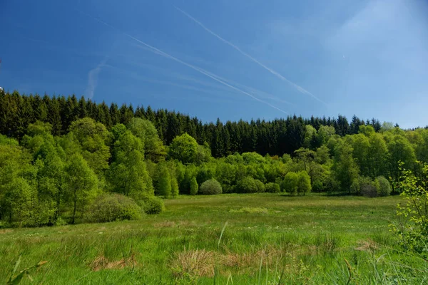 Niskie Pasmo Górskie Eifel Zachodnich Niemczech Wschodniej Belgii — Zdjęcie stockowe