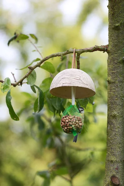 bird nest with a hanging umbrella