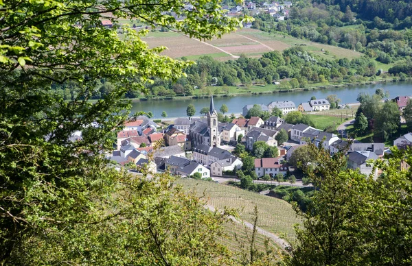 Blick Auf Die Mosel — Stockfoto