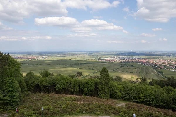 Vista Panorámica Del Hermoso Paisaje Forestal — Foto de Stock