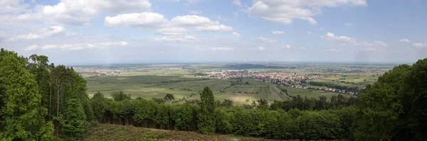 Vista Panorâmica Bela Paisagem Florestal — Fotografia de Stock