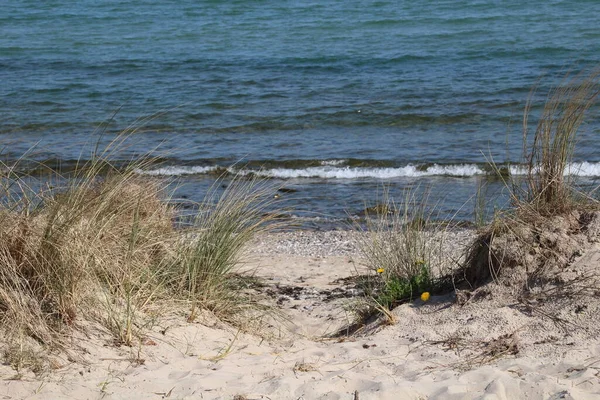 Malerischer Blick Auf Den Ostseestrand — Stockfoto