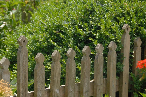 Garden Fence Annual Fence — Stock Photo, Image
