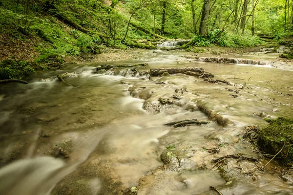 Scenic View Beautiful Forest Landscape — Stock Photo, Image