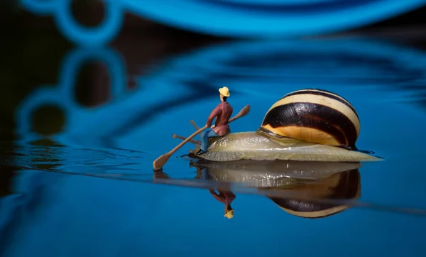 Snigel Vattnet — Stockfoto