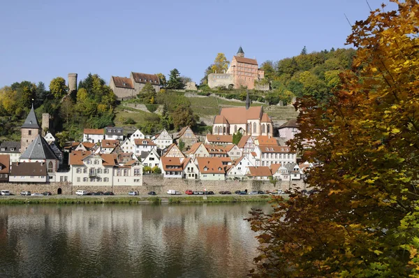 Burg Hirschhorn Hessen Neckar Neckartal Odenwald Stad Ort Dorp Fort — Stockfoto