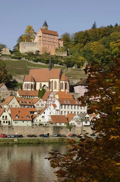 Burg Hirschhorn Hessen Neckar Neckartal Odenwald Town Ort Village Fortress — стоковое фото