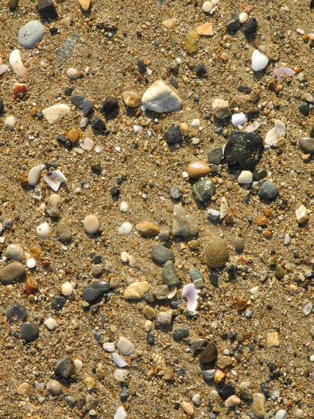Ghiaia Pietra Pietre Spiaggia Sabbiosa Sabbia Spiaggia Oggetto Struttura Sfondo — Foto Stock