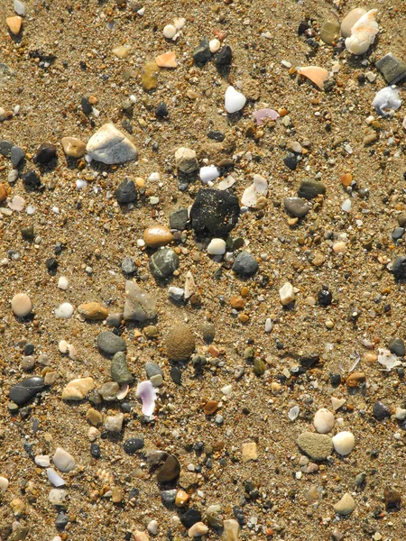 Pebble Stone Stones Sandy Beach Sand Beach Object Structure Background — Stock Photo, Image