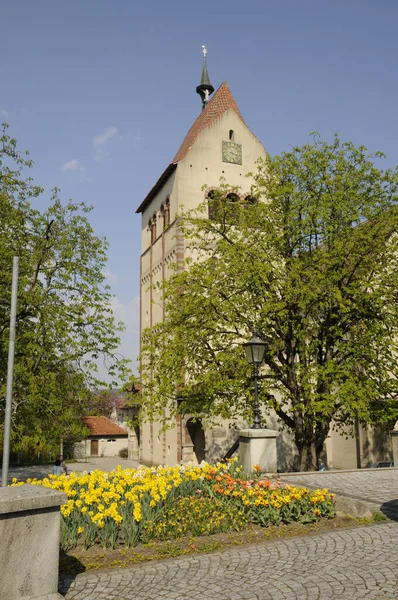 Reichenau Mittelzell Mnster Monasterio Durante Día —  Fotos de Stock