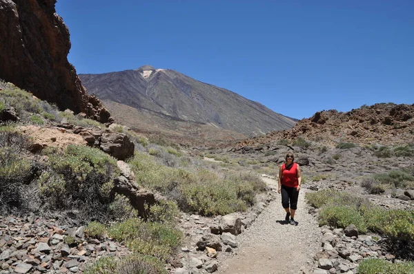 Roques Garcia Tenerife Teide Hiking Dağcılık Kadın Mountain Volkan Volkanizm — Stok fotoğraf