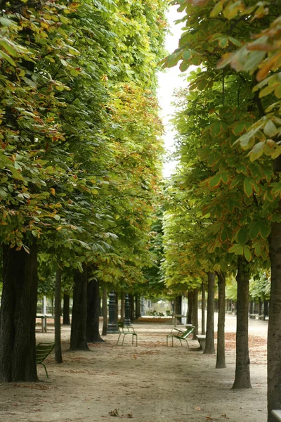 Parco Autunnale Con Alberi Panchine — Foto Stock