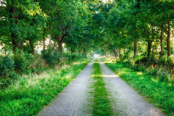 Landscapes Northern Germany — Stock Photo, Image