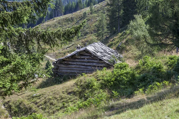 Landschap Karinthië Alpen — Stockfoto