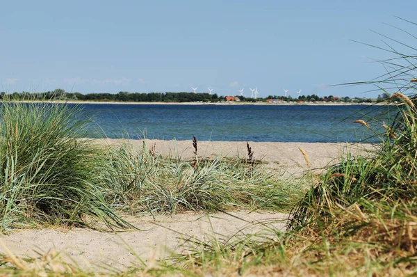 Praia Paisagem Natureza Vista — Fotografia de Stock