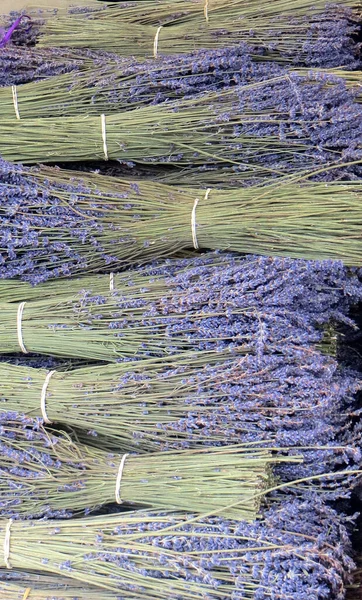 Bouquets Perfumados Lavanda — Fotografia de Stock