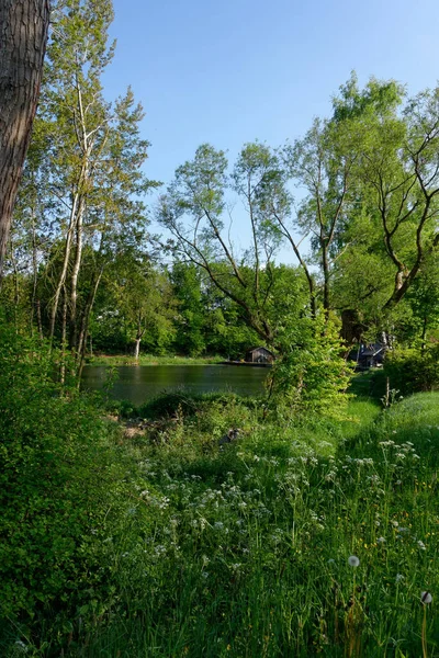 Sommarintryck Vid Sjön — Stockfoto