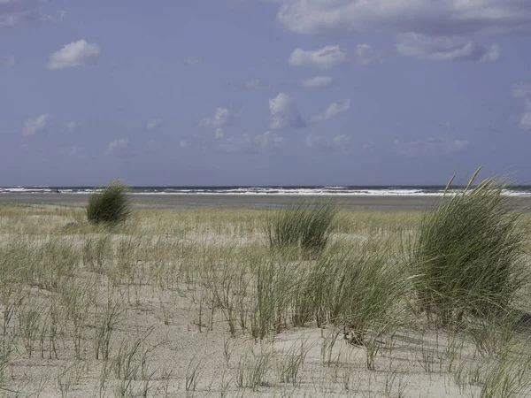 美しいSpiekeroogの風景 — ストック写真