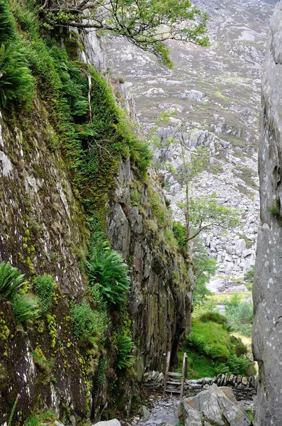 Galler Deki Llyn Idwal Çevresindeki Kambriyen Dağları Nın Ortasındaki Snowdonia — Stok fotoğraf