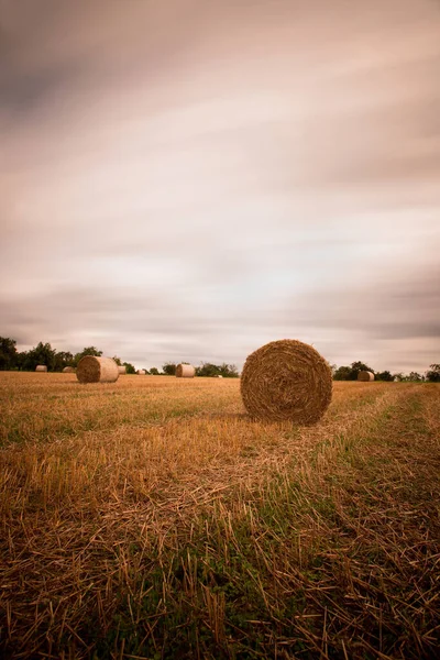 Zemědělské Pole Slámovými Balíky — Stock fotografie