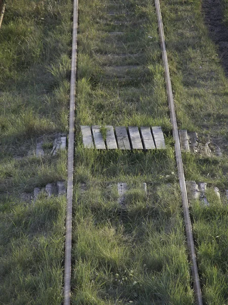 Naturskön Utsikt Över Vackra Spiekeroog — Stockfoto