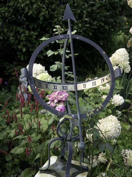 Beautiful Garden Flower — Stock Photo, Image