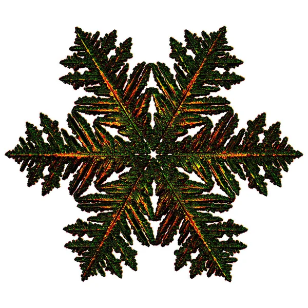 Snowflake Daytime — Stock Photo, Image