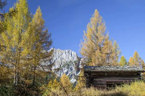 Dřevěná Bouda Karnických Alpách — Stock fotografie