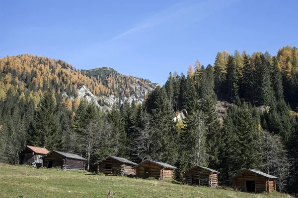 Alpské Chatrče Lese — Stock fotografie