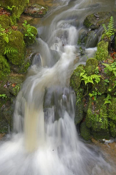 Wasser Fließend Fließend Quelle Wald Natur Frischwasser Trinkwasser Sauber Natürlich — Stockfoto
