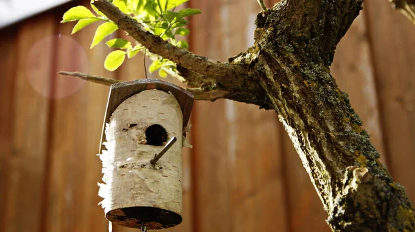 Vogelhuis Met Een Tak Van Een Boom — Stockfoto